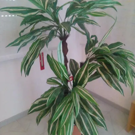 בית נופש La Veranda